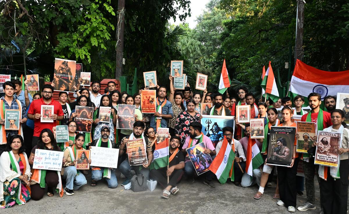 नई दिल्ली में आवारा कुत्तों पर सुप्रीम कोर्ट के हालिया फैसले पर एक विरोध मार्च के दौरान पशु प्रेमियों को देखा गया 